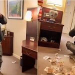 Jeton falas në një hotel në Britani, sudanezi bëhet viral, publikon pamjet duke hedhur paratë në dysheme