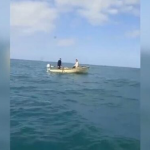 Mbetën të bllokuar në det për shkak të dallgëve, shpëtohen dy qytetarë në Shëngjin
