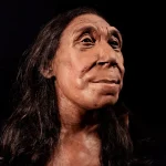 Jeni kureshtarë? Shkencëtarët zbulojnë si dukej fytyra e gruas neandertal 75 mijë vjet më parë
