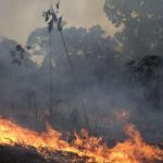 Zjarri përfshin fshatin Kaninë të Vlorës, rrezikojnë të digjen banesat