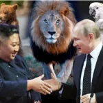 Putin dhuron luanë e arinj për popullin koreano-verior