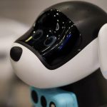 Qeni robot i kompanisë suedeze të AI, Luna, mëson dhe përshtatet si njerëzit