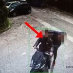 Drogë me postë nga SHBA në Shkodër e Tiranë/ Arrestohen marrësit, në kërkim pritësit