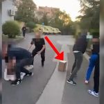 Tjetër rast i drogës me postë nga Amerika, arrestohen dy të rinj në Vorë