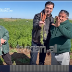 Karrota me 4 degë? Shenjë hyjnore për numrin 4, sipas Bashës!