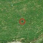 Ndjekje në ara dhe monitorim me dron, arrestohen 2 vëllezër për drogë në Fier