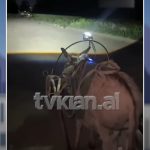I ve drita të gjata për të parë rrugën, video virale e gomarit