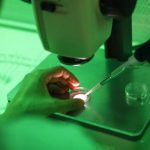 Për herë të parë në botë, terapia gjenetike i rikthen shikimin pacientit në Itali
