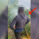 Ndezi zjarr dhe dogji bimësi, policia arreston në flagrancë 26-vjeçarin në Leminot