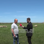 Shiti 61 dele, por s’pa asnjë lek, qytetari tregon si e hëngri nga miku
