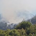 Shkaktuan zjarret në Lukovë, Bolenë dhe Tragjas, arrestohet 1 person, 2 nën hetim