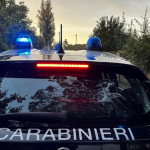 Ngjarja e rëndë/ I riu përdhunon të moshuarën 80-vjeçare në shtëpinë e saj dhe i grabit 500 euro