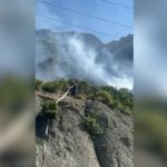 I vuri zjarrin ullinjve të fqinjëve se kishte konflikte me ta, arrestohet 19-vjeçari