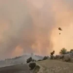 Zjarri shkrumboi bagëti e bletë, kafshët e ngordhura po groposen për të shmangur sëmundjet