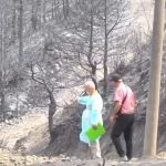 Pasojat e zjarreve në Gramsh, grupe pune për të vlerësuar dëmet në çdo fshat