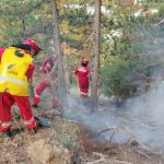 Katër vatra aktive në Shqipëri, zjarret më problematike janë në Kolonjë dhe pyjet në Fushë-Arrëz