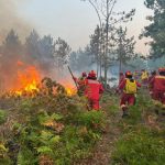 “Dëmi nga zjarret këtë verë, rreth 325 mln euro”- Eksperti i Sigurisë: Situata në Shqipëri, kambanë alarmi, mungon infrastruktura dhe mbështetja për zjarrfikësit