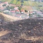 Fiket zjarri në kodrat e Vloçishtit, shpëtohen tre stalla me bagëti