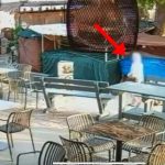Vodhi bizhuteri, parfume e suvenire, arrestohet turistja italiane në Ksamil