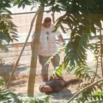 “Do të hakmerrem ndaj tij” Vajza e 36-vjeçares së vrarë në Greqi: Do t’i bëj babait atë që ai i bëri mamit! S’dua ta shoh me sy