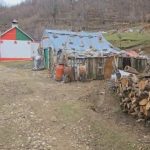 “Më thoshte se nuk isha burrë” Vrau 81-vjeçarin në Tiranë, zbardhet dëshmia e autorit: I rashë me çekiç, pas krimit kafe e raki. Më tallte se punoja