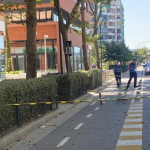 Arrestohet shoferi, pasagjerja hapi derën dhe përplasi të miturën me monopatinë