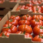 Kroacia kthen perimet me pesticide, arrestohen administratori i subjektit dhe dy inspektore të AKU-së
