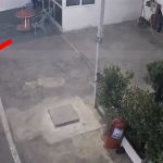 Të maskuar dhe me armë grabitën xhiron ditore të karburantit në Librazhd, arrestohen dy persona