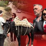 STOP-EMISIONI 9(Sezoni 11) 12 Shtator 2025-“I kisha vene emra, kisha dhene jeten per hajvanet”, shet gomeret, s’merr leket.