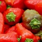 Kapen sërish perime me pesticide nga Shqipëria, Kroacia bllokon ngarkesën me speca
