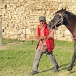 Vrasja në Berat, zbulohet shkaku! Autori dhe viktima sherr për kalin