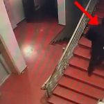 Vodhi 1 MILION LEKË dhe sende me vlerë 20 mijë EURO në një banesë, arrestohet autori!