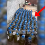 “500 lekë litri,vaj ulliri bio’: Ajo që zbuloi laboratori i la të gjithë pa fjalë