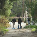 U tha se e vranë grabitësit/ Ngjarja në Greqi merr kthesë dramatike, e moshuara u masakrua për vdekje nga nusja e djalit