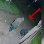 Vodhën 100 litra naftë dhe disa pajisje në një banesë, kamerat e sigurisë ‘tradhtojnë’ hajdutët, arrestohen dy autorët