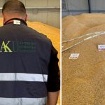 AKU bllokon 75 tonë misër në Shkodër, ngarkesa ndalohet në Han të Hotit