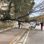 Erëra të fuqishme në Vlorë rrëzojnë pemë dhe bllokojnë rrugët