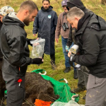 Ariu i murrmë shpëtohet nga kurthi në Trebinjë, AKZM: Është në gjendje të mirë