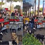 Protestë në Tiranë, qytetarët kërkojnë drejtësi për qentë dhe macet e helmuara