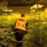 Vila dy katëshe e kthyer në “shtëpi bari” në Malësi të Madhe, arrestohen 22-vjeçari dhe dy punonjës të OSHEE