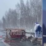 Bën aksident në rrugë, policia i vë prangat babagjyshit