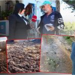 STOP-EMISIONI 55(Sezoni 11) 21 Nentor 2025- “Do ta vras”, i con lopet ne dere, s’pranon ta pastroje, sherri i fqinjeve, video.