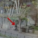 I dogji 44-vjeçarit makinën me vlerë 100 mijë euro pas sherrit, arrestohet i riu në Tiranë