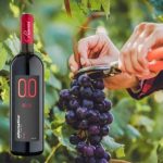 Italia i thotë “po” verës pa alkool: dritë jeshile për prodhimin e saj.