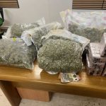 Shkoi në Itali si turist, shqiptari kapet duke trafikuar drogë! Me precedentë penalë