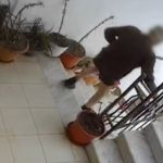 Tentoi të vriste bashkëshorten duke e plagosur rëndë me shkop, pranga 76-vjeçarit