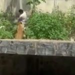 Vdekja tragjike e 19-vjeçarit në Brazil: Hyri në kafaz kopshti zoologjik me luanë