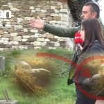 STOP-EMISIONI 63(Sezoni 11) 3 Dhjetor 2025-Pa faj ne aksident, por bashkefajtor, video e perplasjes nxjerr bllof institucionet.