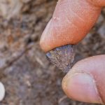 Zbulimi: Njerëzit e ndezën zjarrin 350.000 vjet më herët nga sa mendohej