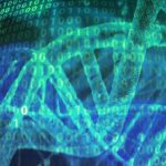 Zbulimi: Gjenet luajnë një rol më të madh në jetëgjatësi sesa mendohej më parë